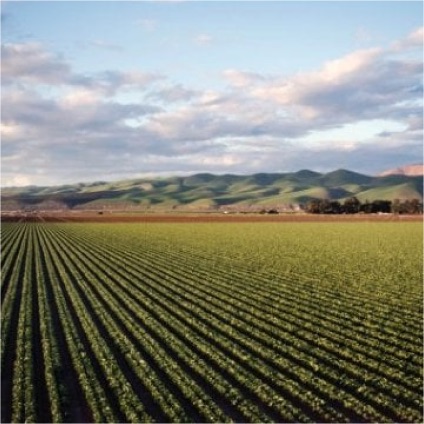 Farmland for cargo and delivery operations