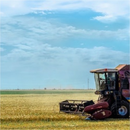 Agricultural field inspection