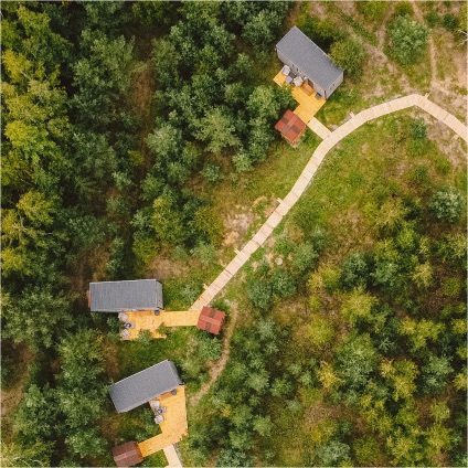 Aerial mapping of a forest area